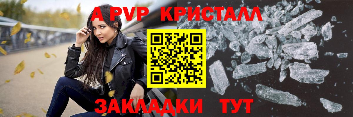 Alfa_PVP СК Горно-Алтайск