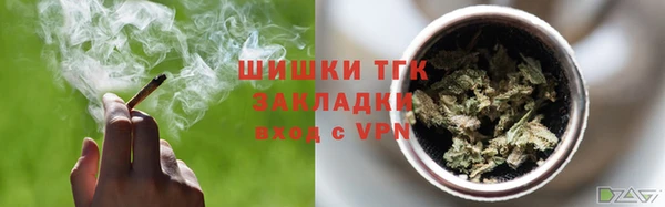 ECSTASY Вяземский