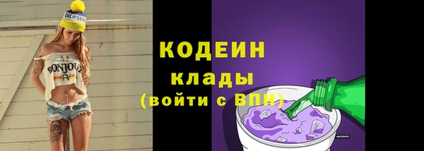 гашик Богданович
