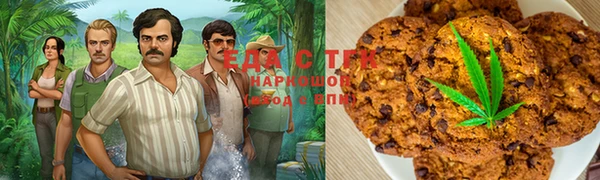 гашик Богданович
