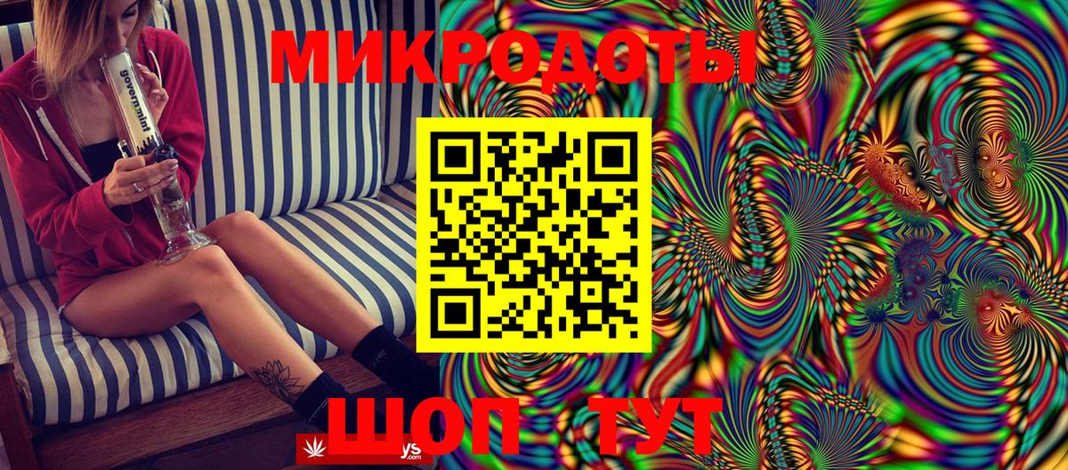 Галлюциногенные грибы Psilocybine cubensis Горно-Алтайск