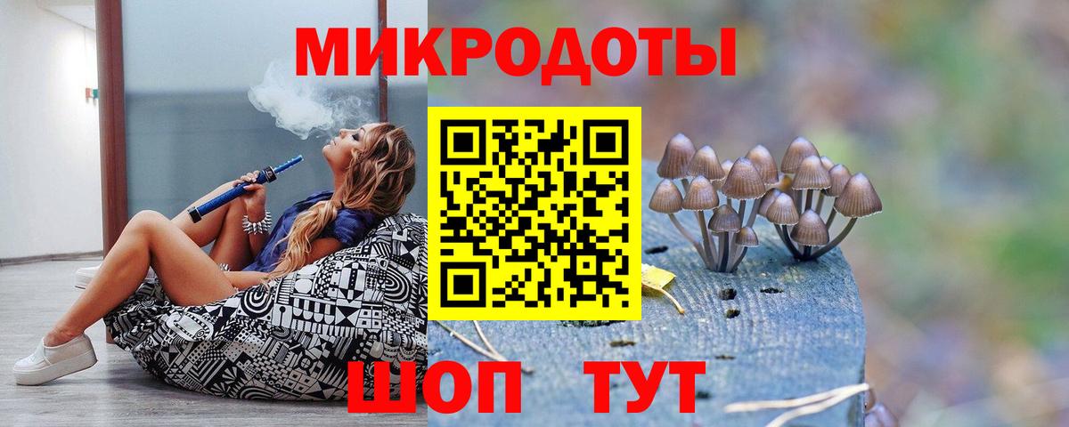 Галлюциногенные грибы прущие грибы  Вход с VPN  Горно-Алтайск 