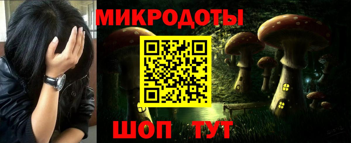 Псилоцибиновые грибы мицелий  Галлюциногенные грибы ЛСД  купить наркоту  Горно-Алтайск 