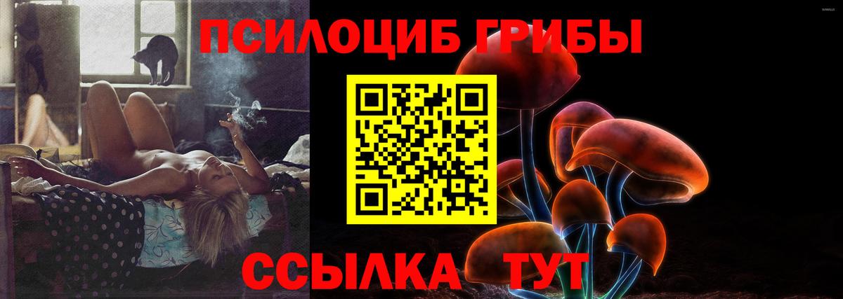 Галлюциногенные грибы Cubensis Горно-Алтайск