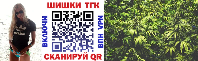 MEGA маркетплейс  магазин продажи наркотиков  Горно-Алтайск  Марихуана Ganja 